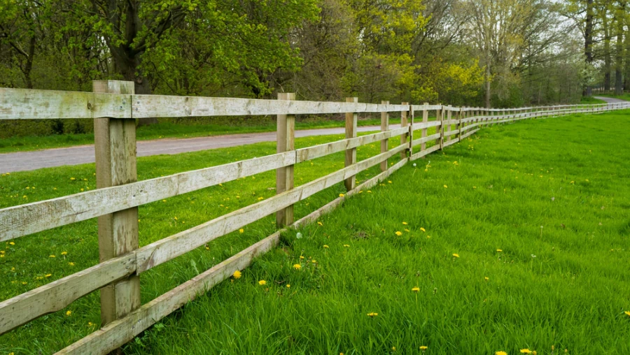 Farm Fencing 2